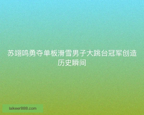 苏翊鸣勇夺单板滑雪男子大跳台冠军创造历史瞬间
