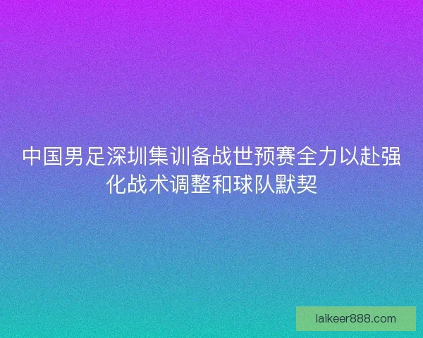 中国男足深圳集训备战世预赛全力以赴强化战术调整和球队默契
