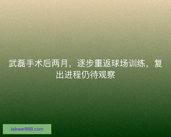 武磊手术后两月，逐步重返球场训练，复出进程仍待观察